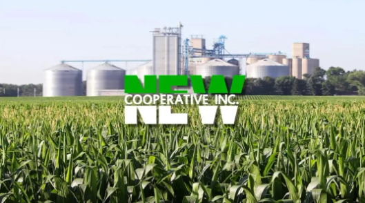 NEW Cooperative��Black Matter����������590����Ԫ.png