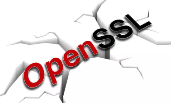 OpenSSL�䲼��ȫ������������������������Ʒ�е�2����ȫ��϶.png